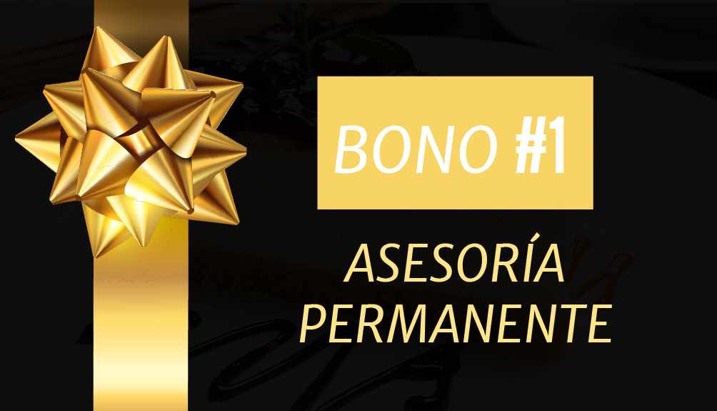Bono1jpg