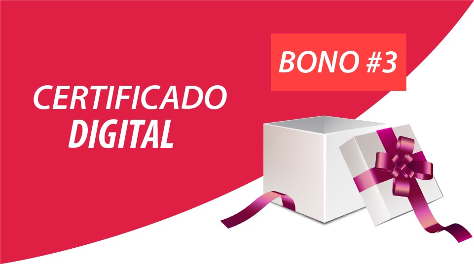Bono3-100-min