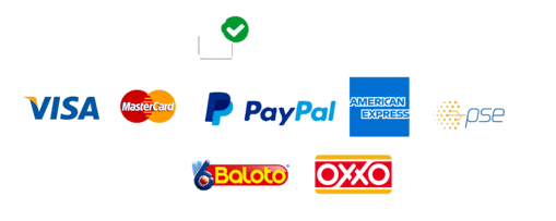 Pago_seguro