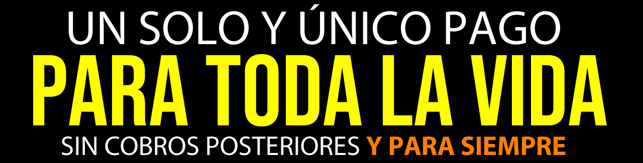 un solo y único pago (1)