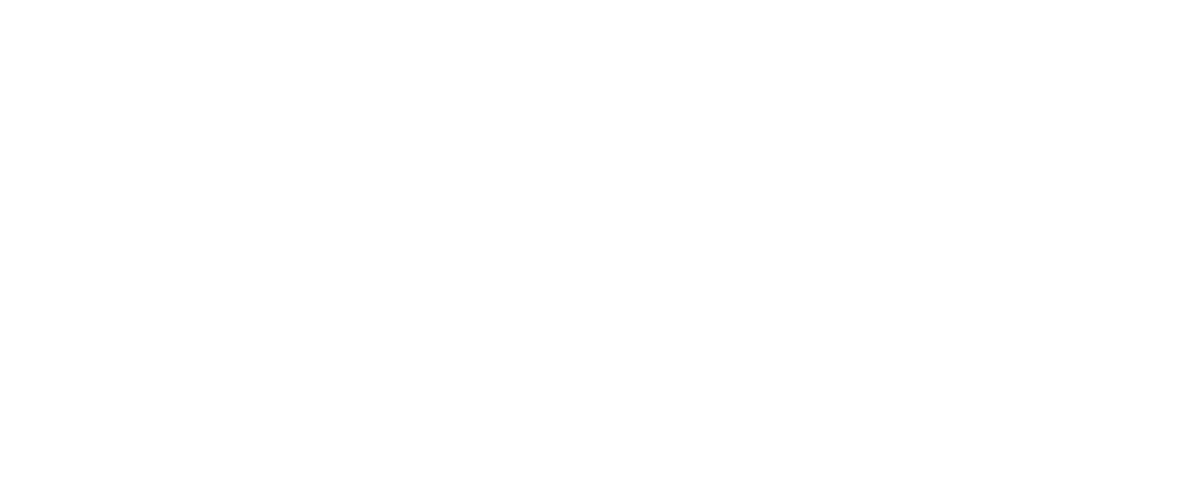 LOGO SICNAPP